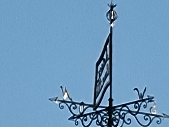 Beim Galaxy S21 Ultra ist auch eine 100-fache Vergrößerung möglich. (Bild: Tobias Költzsch/Golem.de)